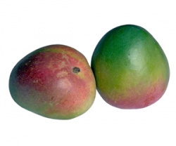 Les fruits : La Mangue